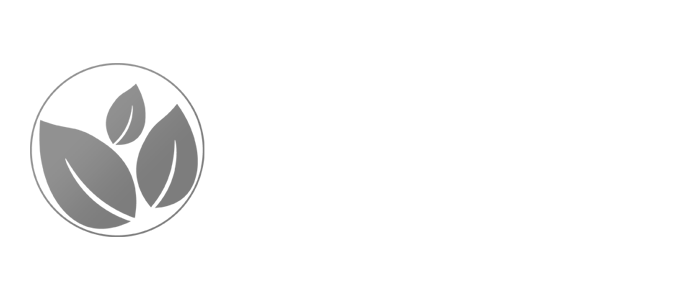 LifeCapsule logo