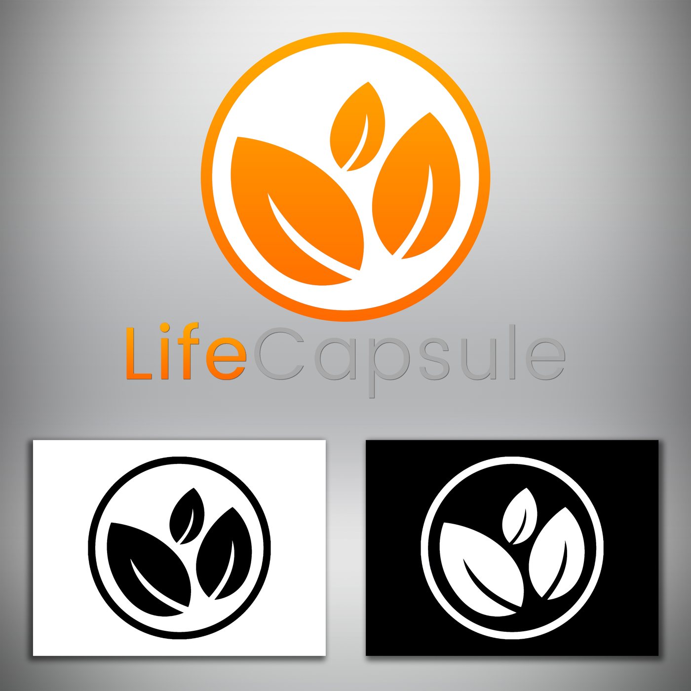 LifeCapsule logo designed by Gen One Design